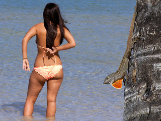 Candid bikini photos in beach