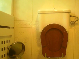 Two spy cams in toilet