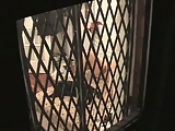 window masturbation 4