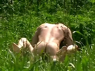 Couple fucking in the field