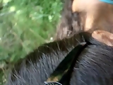 Blowjob in the Forest