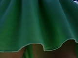 Green Skirt Upskirt
